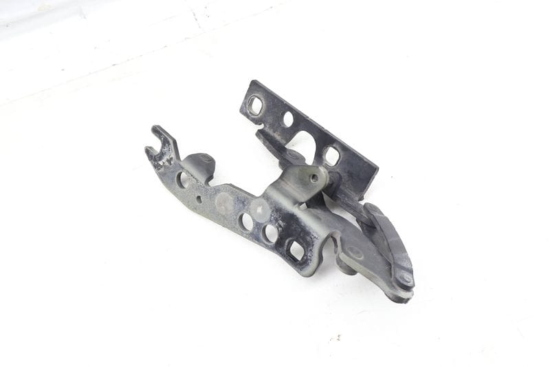 Hood Hinge 41617064160 — Used (SKU 670162)