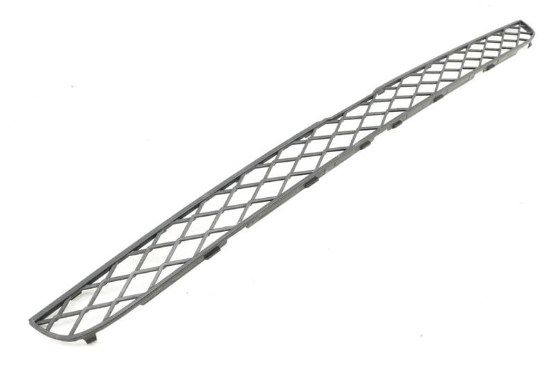 Upper Center Bumper Grille 51117159597 — Used (SKU 365437)