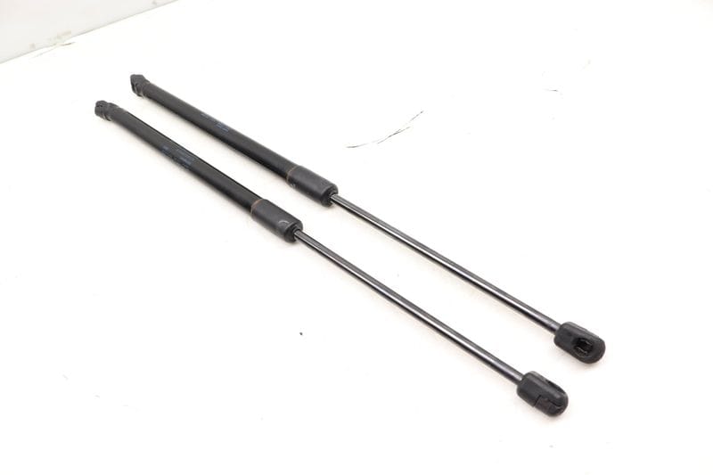 Hood Strut / Shock Set 4L0823359 — Used (SKU 436958)