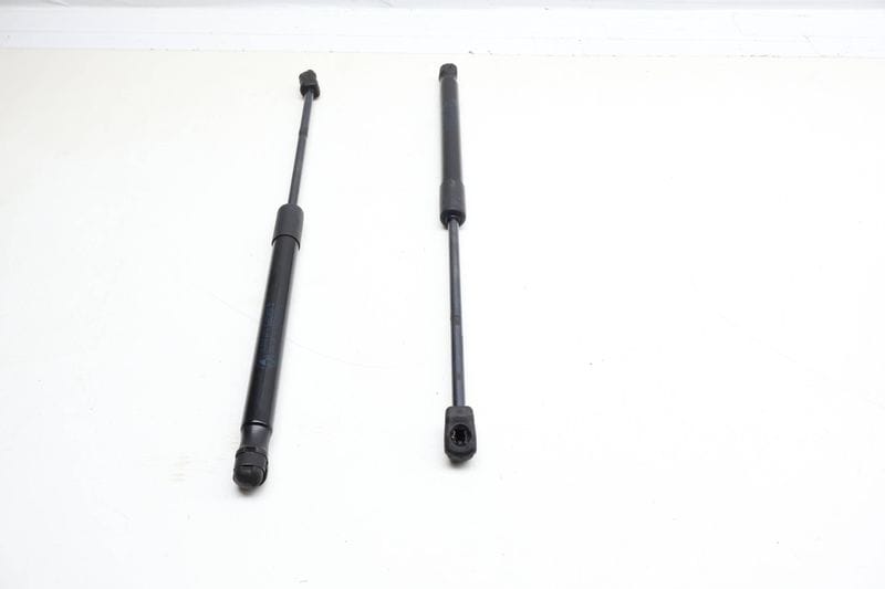 Hood Strut / Shock Absorber Set 51237148346 — Used (SKU 699010)