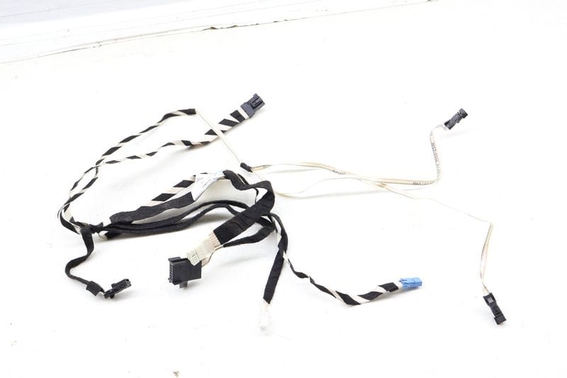 Door Panel Light Wiring Harness 2214408905 — Used (SKU 682326)