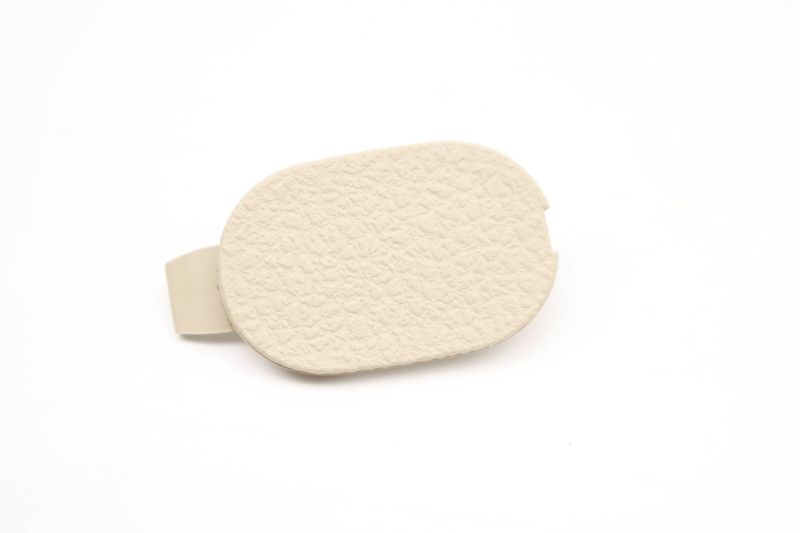 Center Console Screw Cap / Cover 561863359 — Used (SKU 500468)