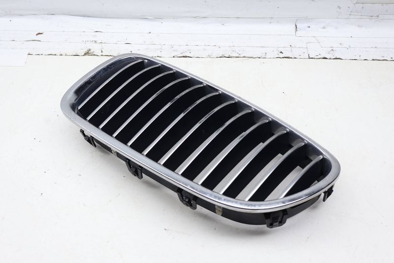 Bumper Grille 51137203649 — Used (SKU 731225)