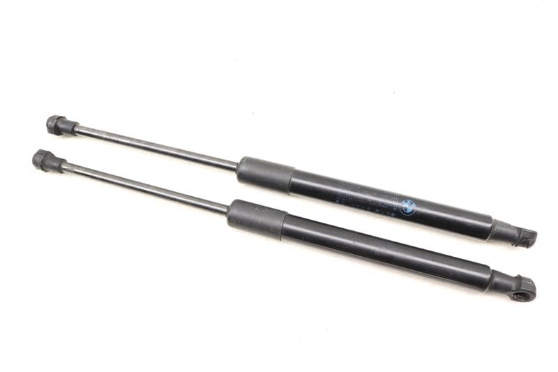 Hood Strut / Shock Set 41612990344 — Used (SKU 499471)