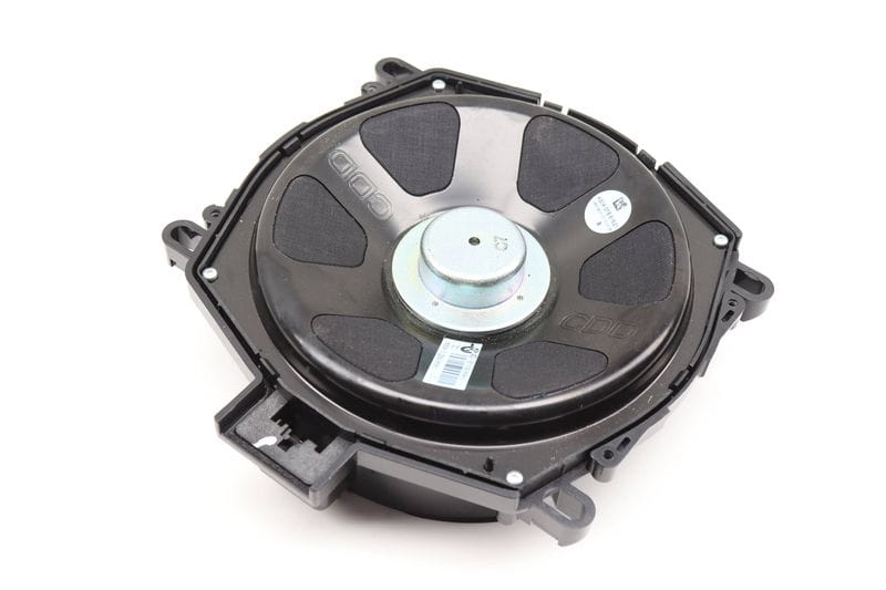 Central Speaker Subwoofer / Woofer (HIFI) 65139218698 — Used (SKU 574976)