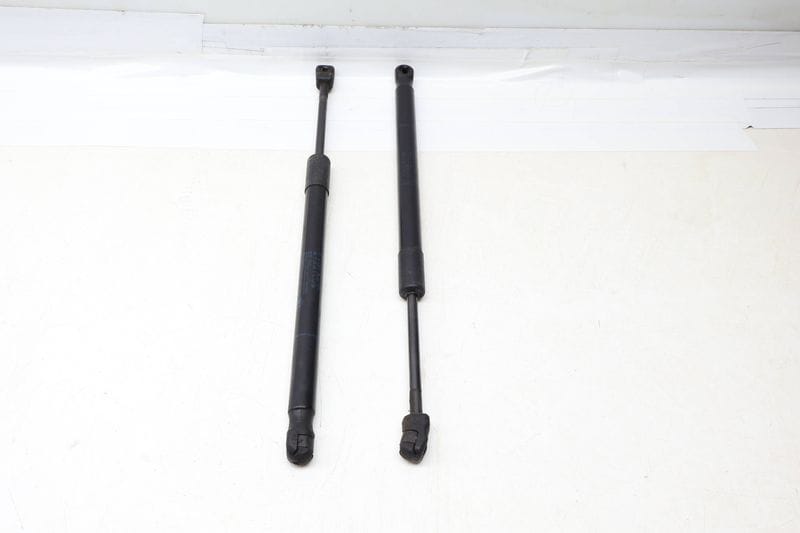 Hood Strut / Shock Absorber Set 51237294524 — Used (SKU 688997)