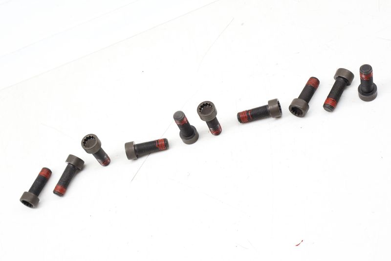 Flywheel Screw / Bolt Set (10) N90665101 — Used (SKU 730552)