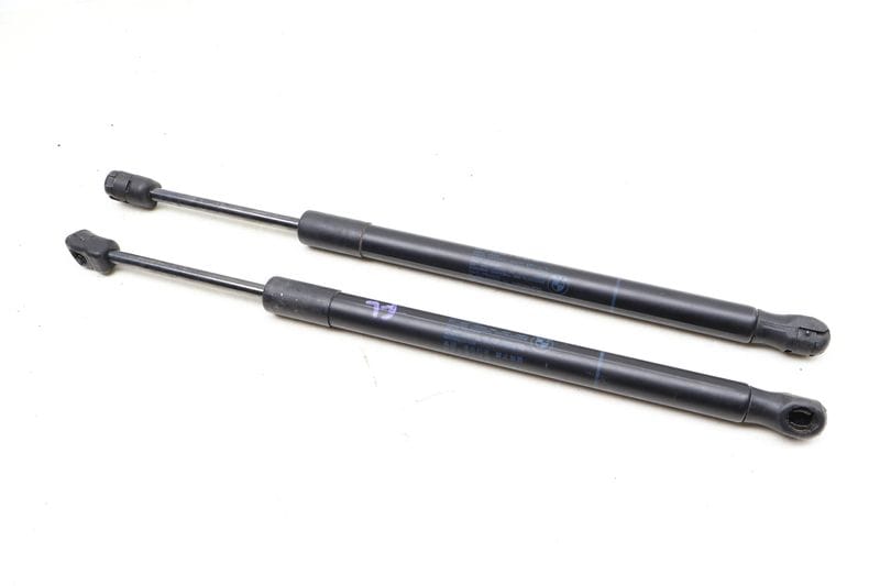 Hood Strut / Shock Absorber Set 51237294524 — Used (SKU 639314)