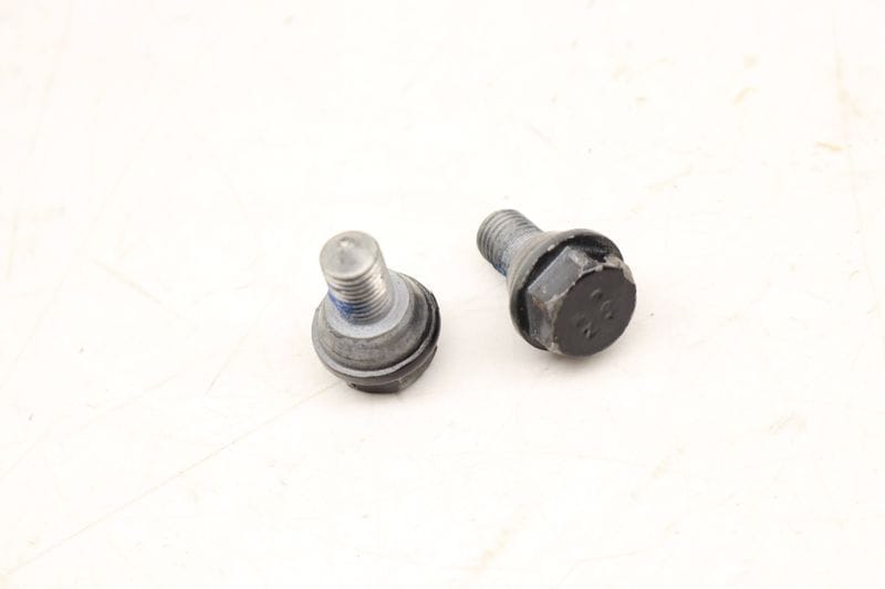 Door Hinge Bolt / Screw Set (2) 0049901000 — Used (SKU 502497)