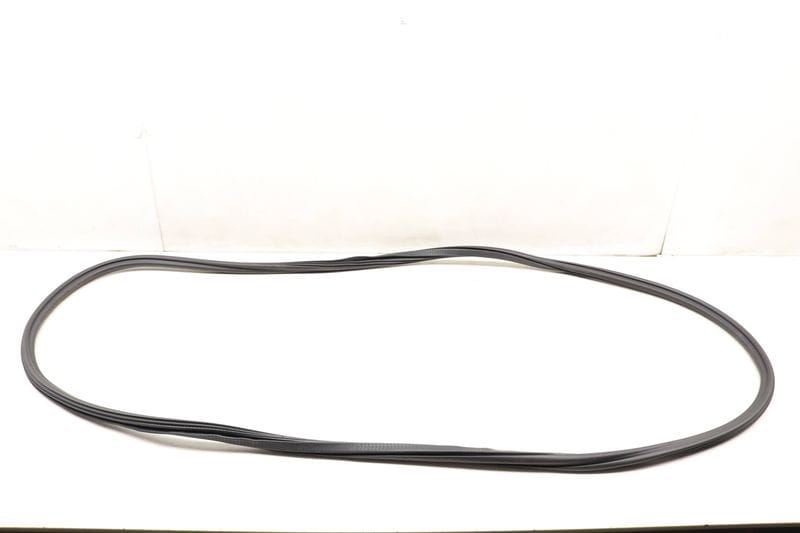 Inner Door Seal / Weather Stripping 95B831721A — Used (SKU 517985)