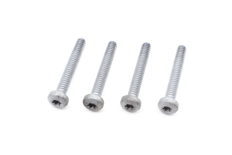 Throttle Body Screw / Bolt Set (4) 99991925201 — Used (SKU 656228)