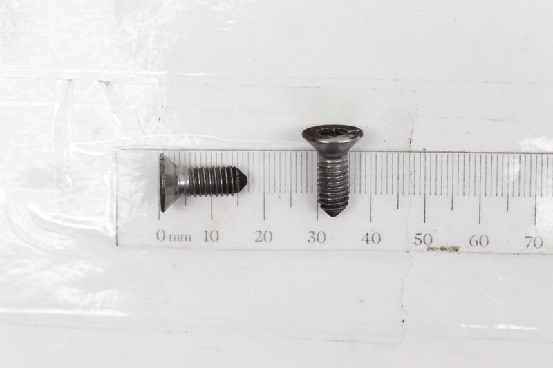 M6X16 Brake Rotor Screw Bolt Set (2) N10648301 — Used (SKU 496105)