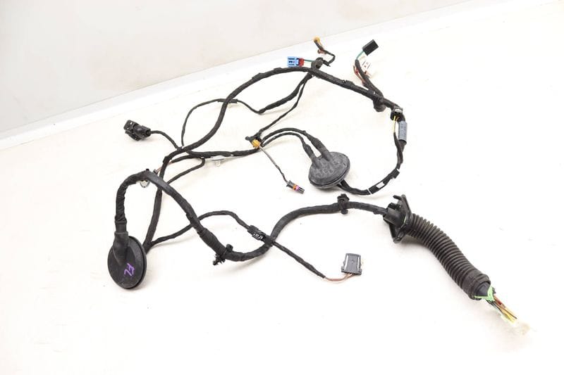 Door Wiring Harness 8W0971029AN — Used (SKU 543124)