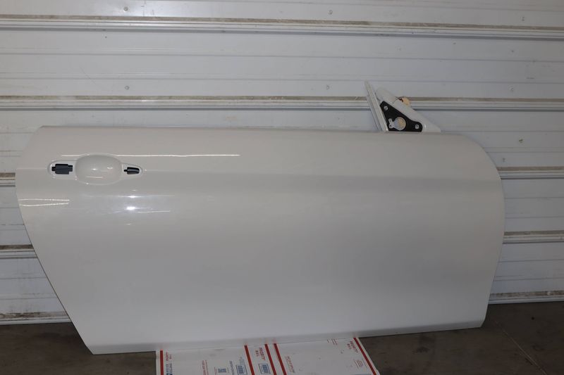 Door Shell / Skin 41007327346 — Used (SKU 538803)