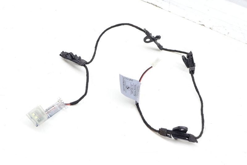 Door Handle Light / Wiring Harness 63177473684 — Used (SKU 707343)