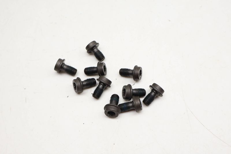 Flywheel Screw / Bolt Set (10) N90539801 — Used (SKU 717021)