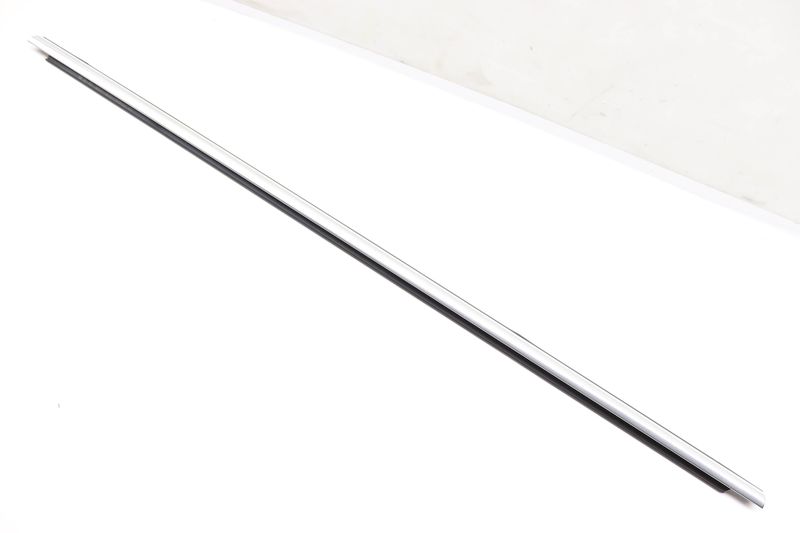 Door Window Slot Seal / Trim (EXTERIOR) 5GM839475A — Used (SKU 559774)