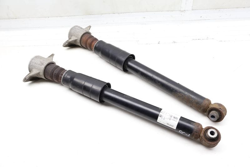 Strut / Shock Absorber Set 80A513035L — Used (SKU 719238)
