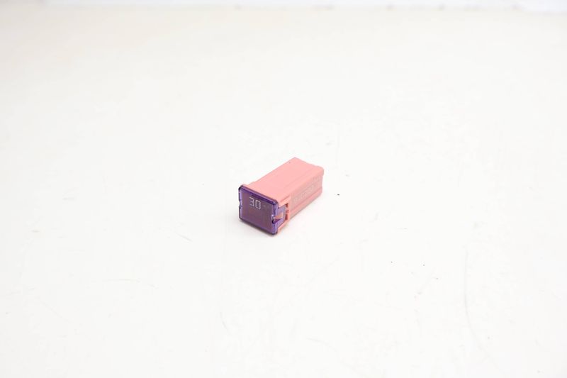 30 Amp Fuse N91186303 — Used (SKU 738006)
