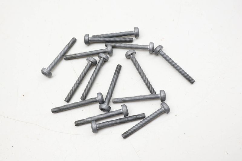 Engine Valve Cylinder Head Cover Screw / Bolt Set (15) N91254401 — Used (SKU 724181)