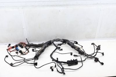 4.8L Engine Wiring Harness 12517570407