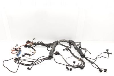 4.8L ENGINE WIRING HARNESS 7570407