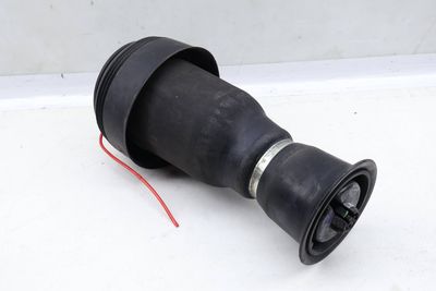 AIR SHOCK / STRUT 6790079