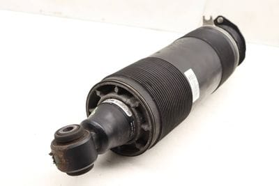 Air Shock / Strut Assembly 2303200438