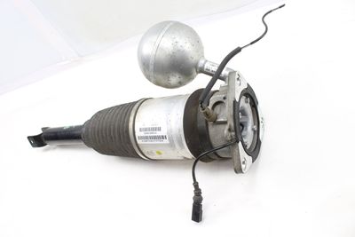 AIR SHOCK / STRUT ASSEMBLY 3D0616001H