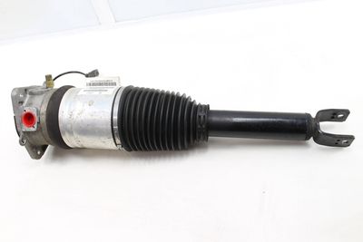 AIR SHOCK / STRUT ASSEMBLY 3D0616001M