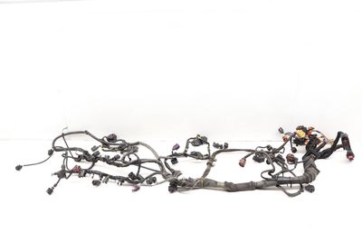 BDP ENGINE WIRING HARNESS 07D971610BS