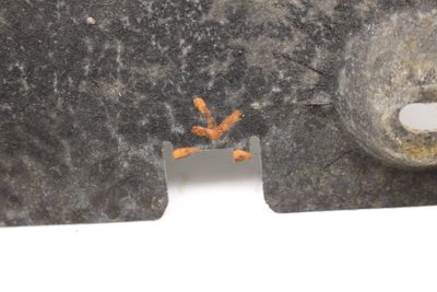 BELLY PAN / SKID PLATE / SOUND BAFFLE 4G0863822C