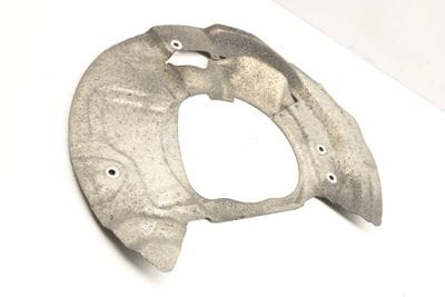 BRAKE DUST / SPLASH SHIELD 6789090
