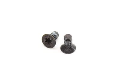 Brake Rotor Screw Set (2) N10456004