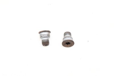 BRAKE ROTOR SCREW SET (2) N91028202