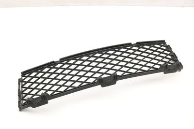 BUMPER CENTER GRILLE 7184690