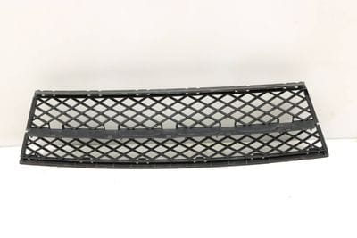 Bumper Center Grille (LOWER) 51117178115
