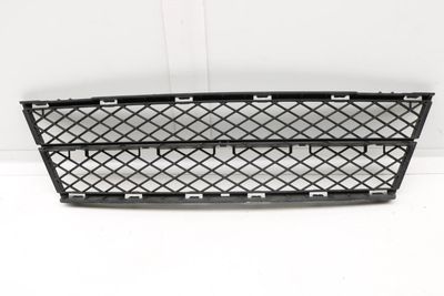 BUMPER CENTER GRILLE (LOWER) 7178115