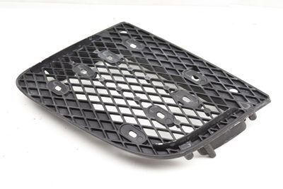 BUMPER GRILLE 420807698A