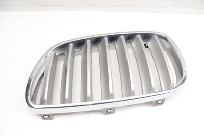 Bumper Grille 51113420087