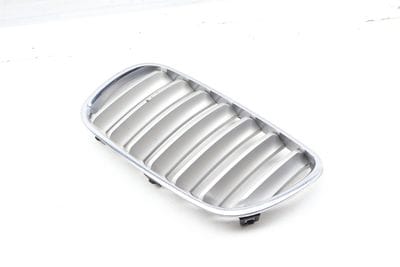 Bumper Grille 51113420087