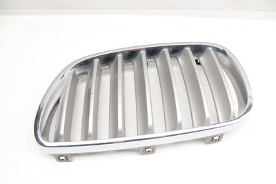 BUMPER GRILLE 3420087