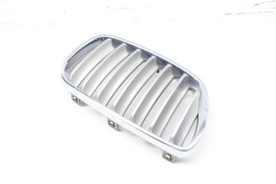 Bumper Grille 51113420088