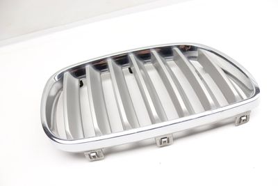 Bumper Grille 51113420088