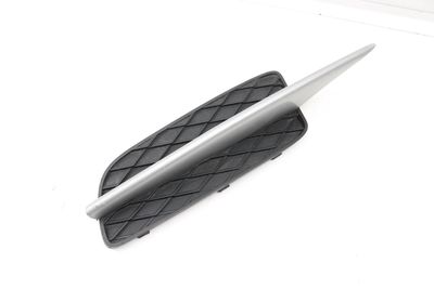 BUMPER GRILLE 7159593