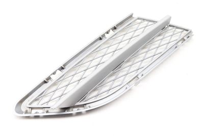 BUMPER GRILLE 7198908