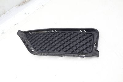 Bumper Grille 51117303755