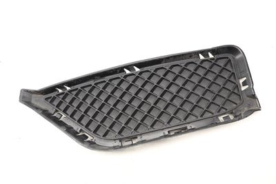 BUMPER GRILLE 7303755