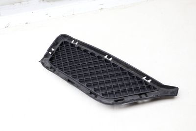 BUMPER GRILLE 7303756