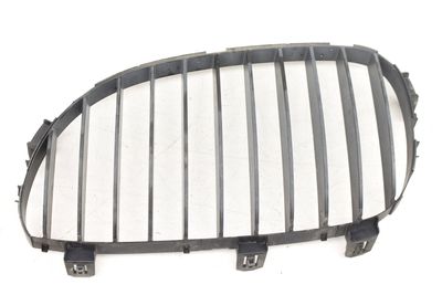 BUMPER GRILLE 7027061